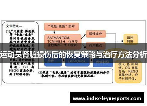 运动员肾脏损伤后的恢复策略与治疗方法分析