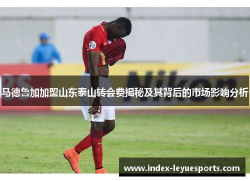 马德鲁加加盟山东泰山转会费揭秘及其背后的市场影响分析