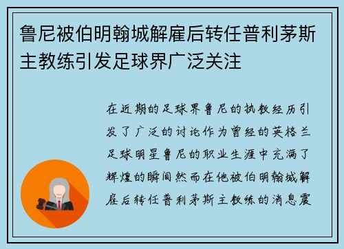 鲁尼被伯明翰城解雇后转任普利茅斯主教练引发足球界广泛关注